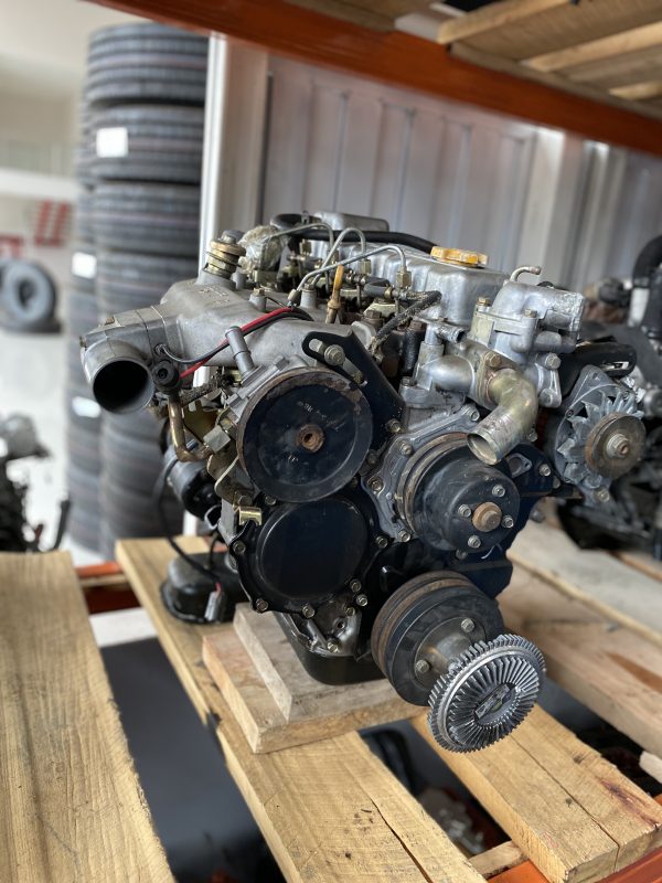 Motor Nissan MT 3000 (BD30D1) - Imagen 2
